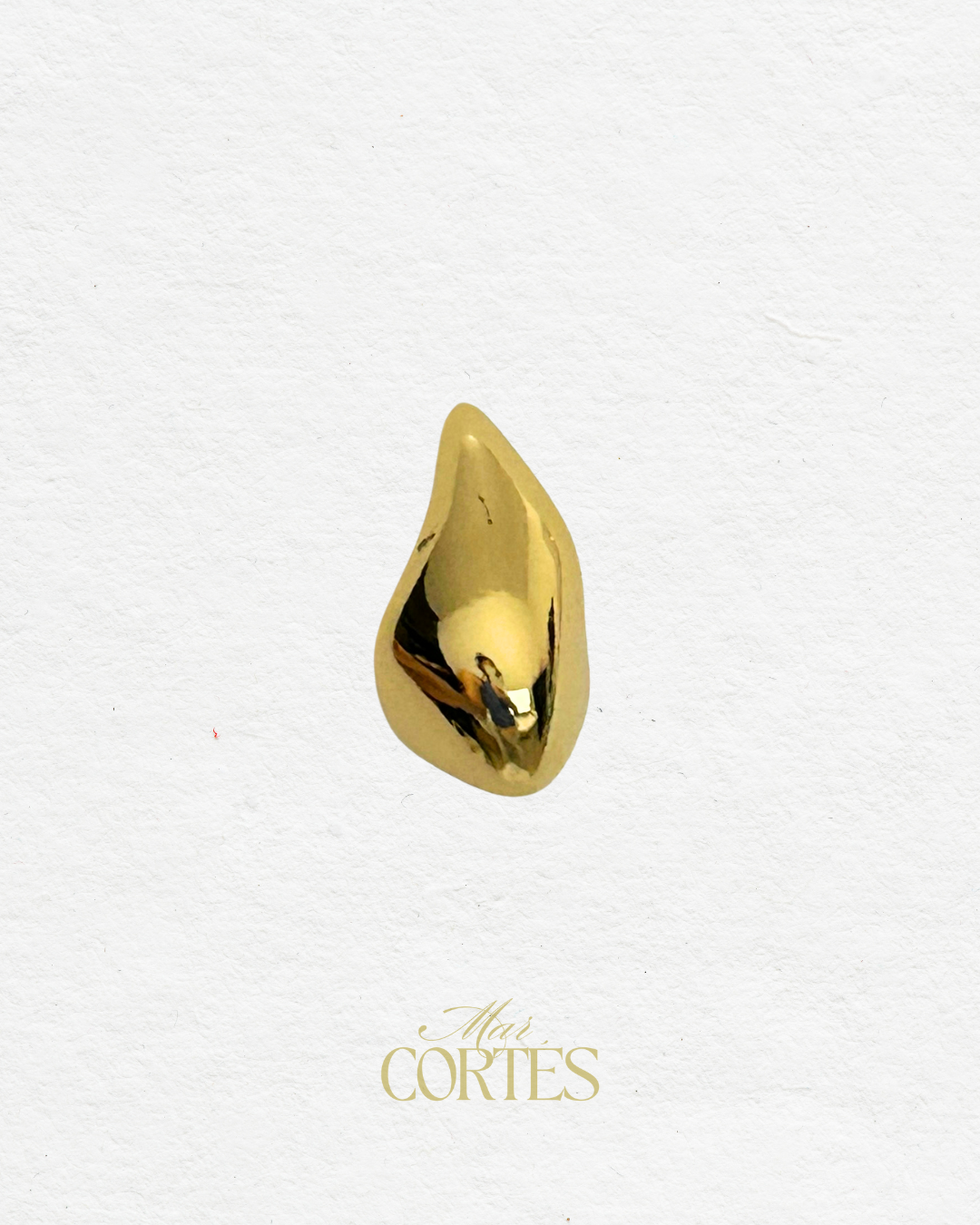 Aretes Nara