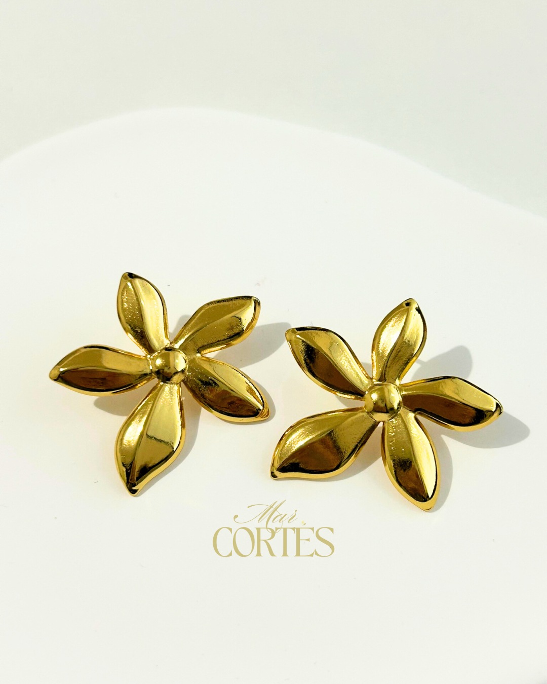 Aretes Adara