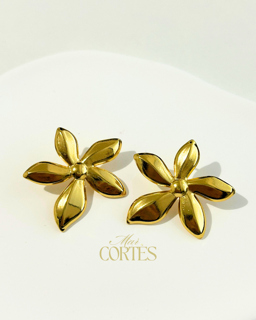 Aretes Adara